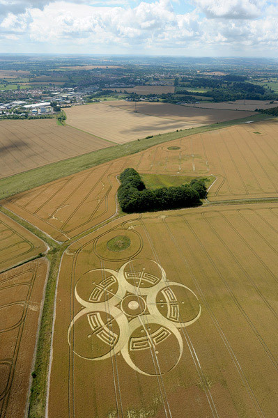 Roundway Hill - July 25