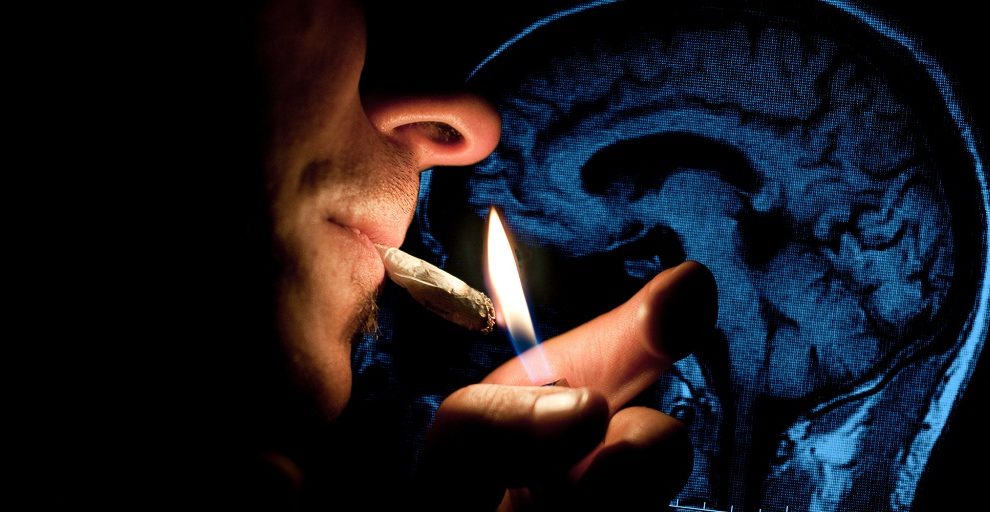 Why I Use Pot to Slow Down My Brain’s Aging Process—and Why You Should Too Weed-1-990x512