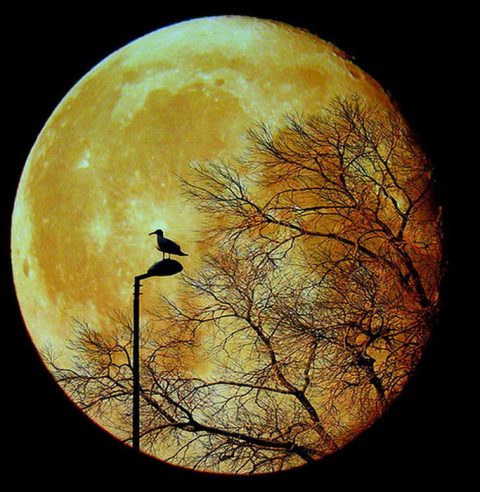 قمر تألق في السماء سبحان من سواك ...  Stunning-photos-of-moon-05