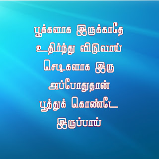 உங்கள் சிந்தனைக்கு - பகுதி -2  6