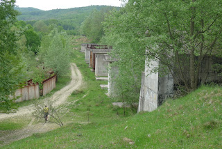 Excursie Ramnicu Valcea - Blidari (pe calea ferata Valcea - Valcele) - Pagina 3 P1130053