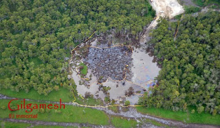 GRANDE AGUJEROS (CRATERS) SE ABREN INCEXPLICADAMENTE EN DIFERENTES PARTES DEL MUNDO - Página 20 Sinkhole