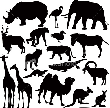 الحيوان الوحيد الذي لا يشرب الماء Stock-illustration-6244385-zoo-animal-silhouettes