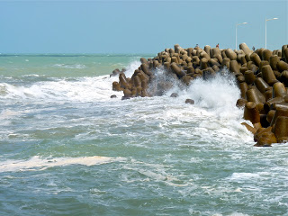 معلومات عن مدينة وجدة المغربية P1050931