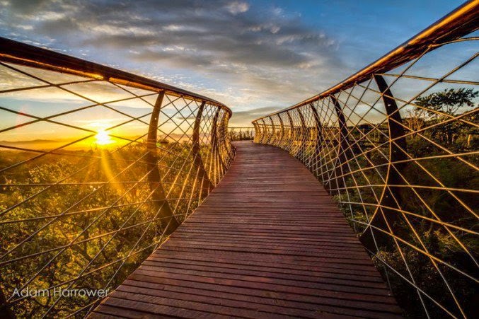 Postea la imagen que te pidan.... - Página 9 Puente-colgante-ciudad-del-cabo11