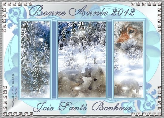 Samedi 31 décembre Carte-bonne-annee-2012-meilleurs-voeux-2012-18-d-clics-disa