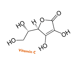 Vai trò vitamin C trong nấm lim xanh đối với con người Vai%2Btro%2Bvitamin%2Bc%2Btrong%2Bnam%2Blim%2Bxanh1