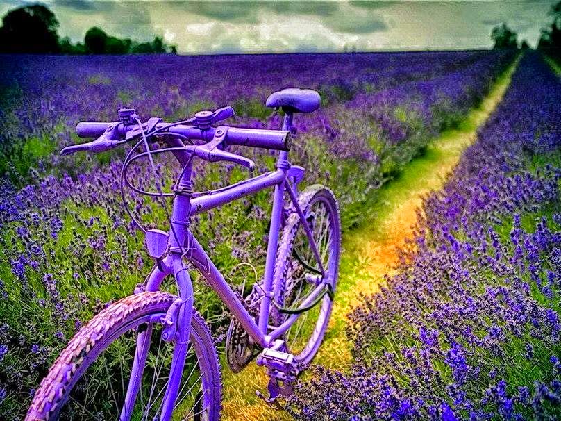 LA PRIMAVERA LLEGO¡!! - Página 18 10250182_672459566124113_6656357193806653917_n