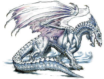 Tipos de dragones en el universo de D&D White-dragon