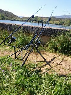 Sesión de carpfishing en embalse IMG-20130615-WA0053