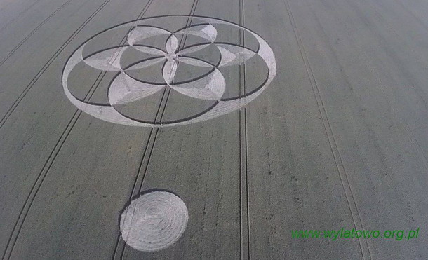 Crop Circle  - Página 33 Po5