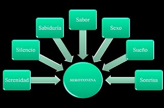 Alfabeto emocional Serotonina1b