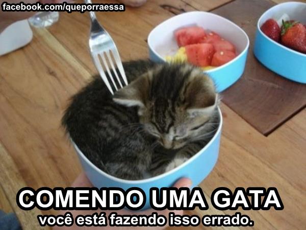 Comendo uma gata gostosa 422483_391207810894829_290844837597794_1651652_242723989_n