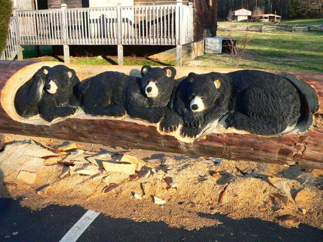 Animals Carved In Tree Trunk Image015