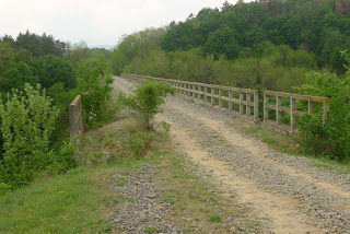 Excursie Ramnicu Valcea - Blidari (pe calea ferata Valcea - Valcele) - Pagina 3 P1120953