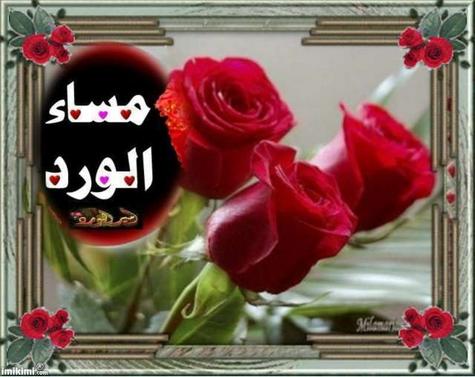 هنآ مسآؤكم وصبآحكم ورد~ - صفحة 2 User49134_pic1761_1328527892