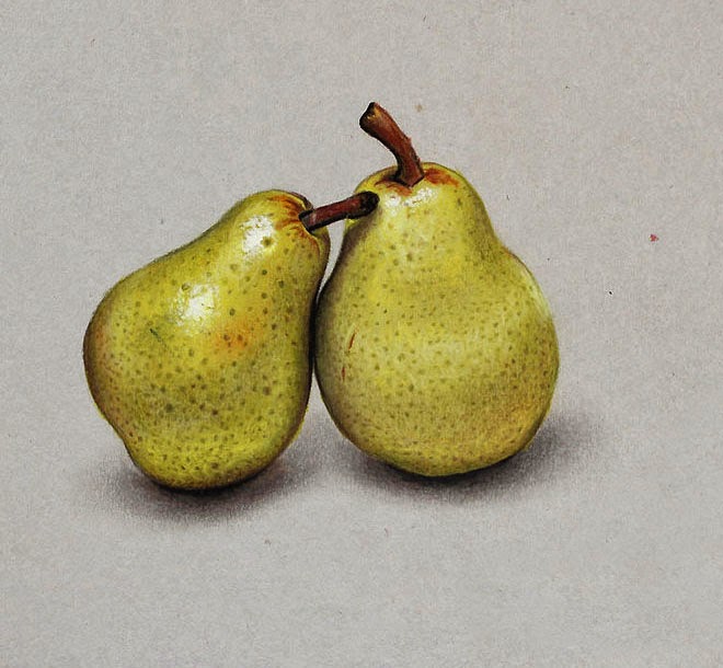  ◦˚ღ ســـجل حضــورك بــلوحه فنية ღ˚◦ - صفحة 98 9-pears-realistic-drawing-by-marcello-barenghi