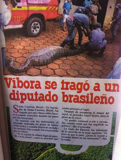 Viaje a Brasil... Urgente!!! Cobra