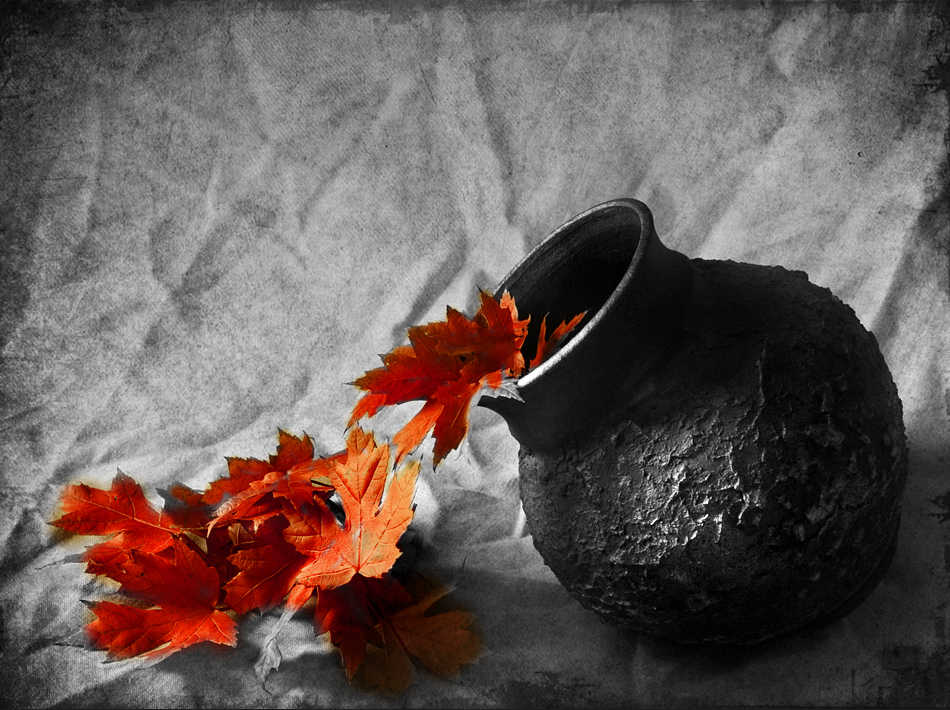 Crno-bijelo u boji - Page 12 Still-life-photography-black-and-white-with-color-01_2