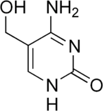 Artigos Científicos Hydroxymethylcytosine