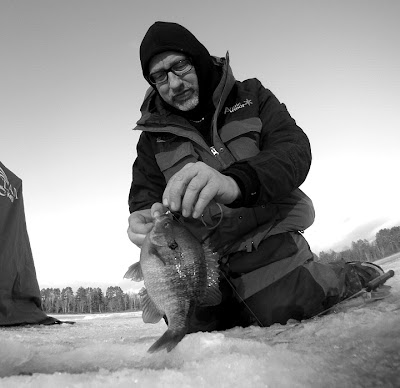 Photos from the weekend ice fishing 12-17,18 Bluegill%2Bbw