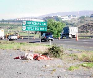 Era abogado el transexual muerto y envuelto en una cobija rosa en Hidalgo; y funcionario del GDF  P