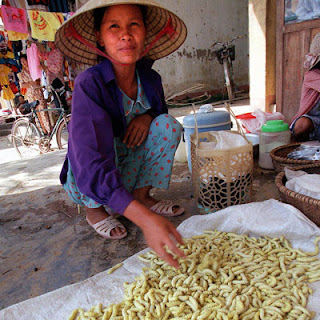 اغرب ثمانية وجبات فى العالم  Silk-worms-vietnam-xl