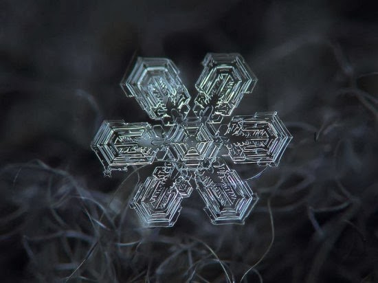 مصور روسي يكشف عن جمال فريد لرقاقات الثلج  Snowflake-closeup6-550x412