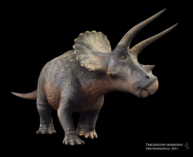 The Dinosaur (or Soul) Society Triceratops2