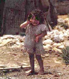 خلافات في أولمبياد لندن 2012 بسبب ما حدث في أولمبياد ميونخ سنة 1972 Sabra-shatila-girl