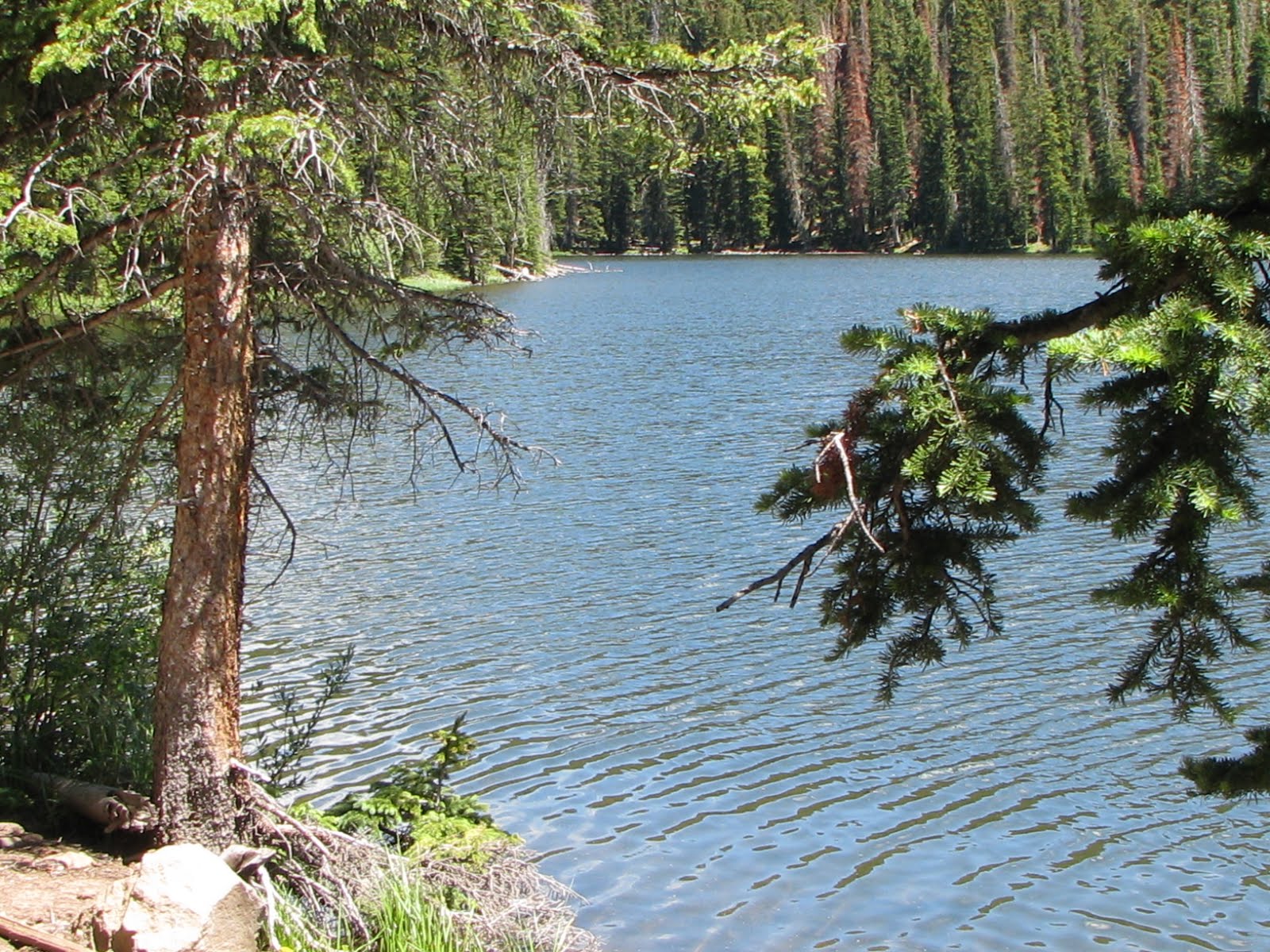 The Water Is My Paradise Lake%2Bof%2Bthe%2BWoods%2B146