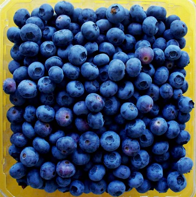   صور فواكة جميلة  Fruits 06Blueberries