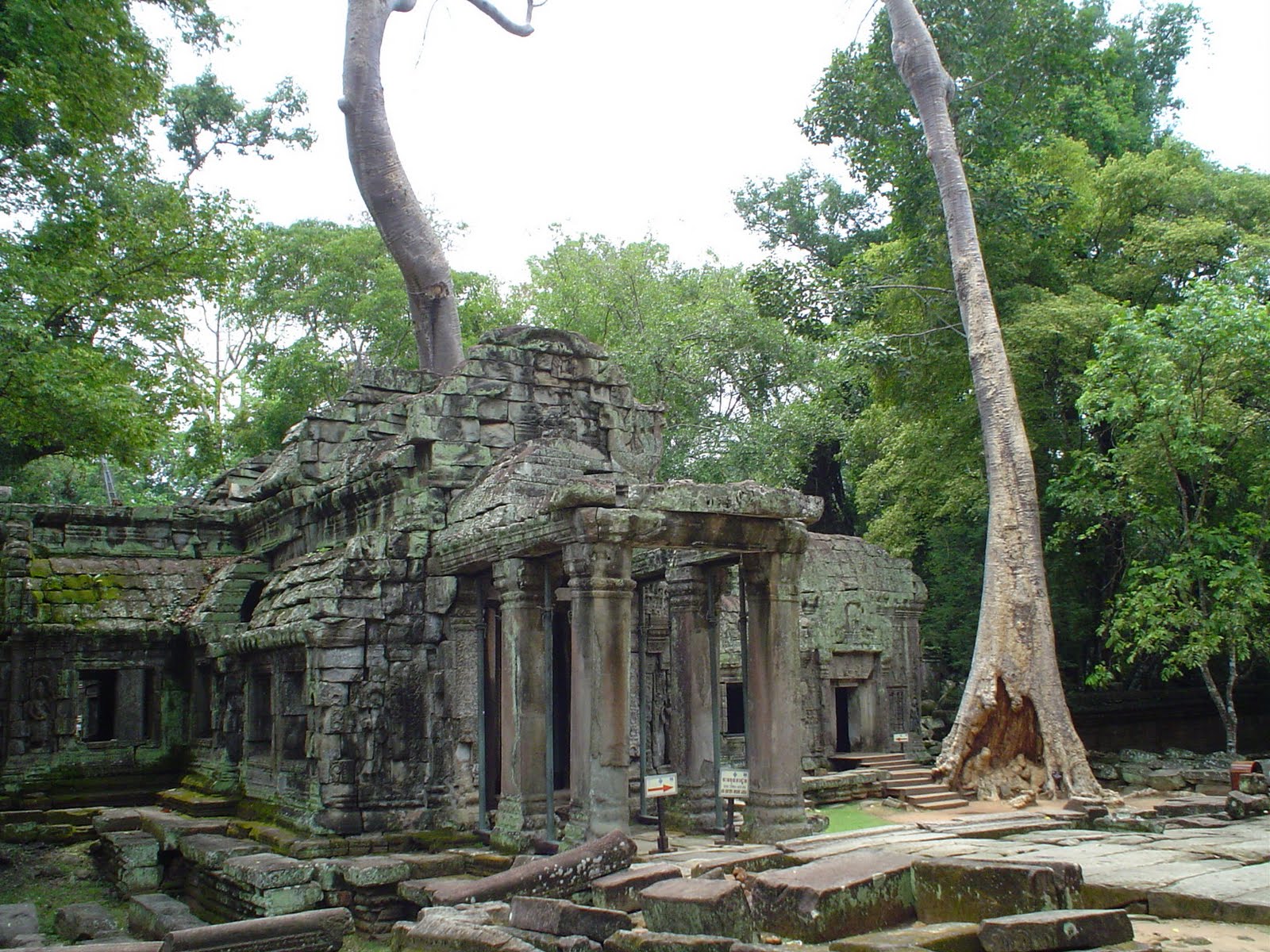 ★ D&CO d'Atlantis ★ Jungla_de_Angkor_Wat_Camboya