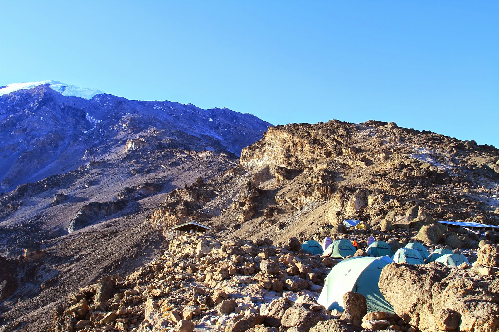 On the Roof of Africa or How (not) to climb Mt Kilimanjaro IMG_8509