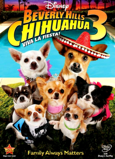 Un Chihuahua De Beverly Hills 3 (2012) Dvdrip Latino Imagen2%257E1