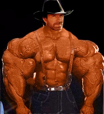      ??????/ -  4 Ultimate_chuck_norris%255B1%255D