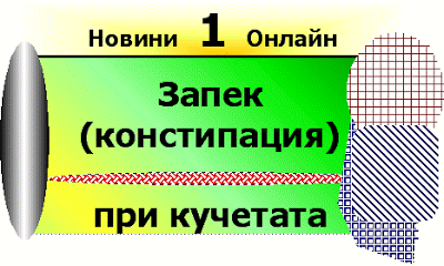 Куче - домашен любимец и породи кучета Zapek___konstipacia_pri_ku4etata