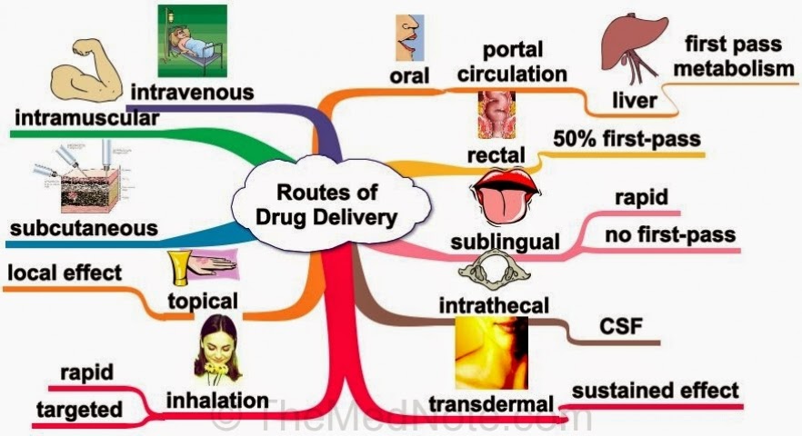 routes-of-drug-delivery Routes-of-drug-delivery