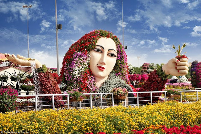  DUBAI MIRACLE GARDEN  14