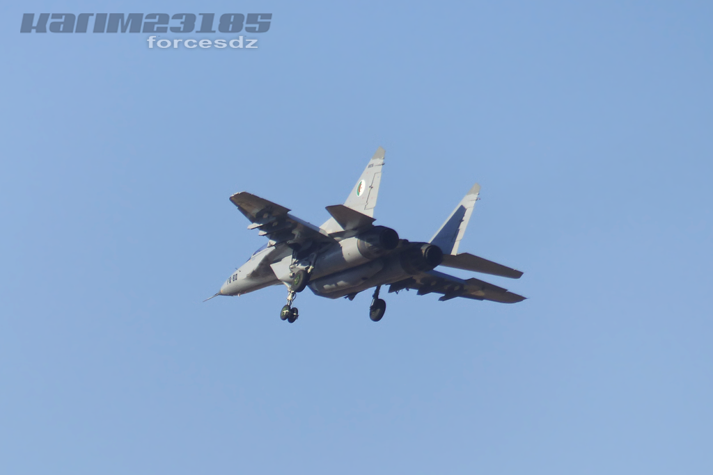 صور طائرات القوات الجوية الجزائرية  [ MIG-29S/UB / Fulcrum ] E