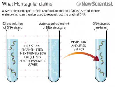 La téléportation quantique de l’ADN par le Dr Luc Montagnier Tquant