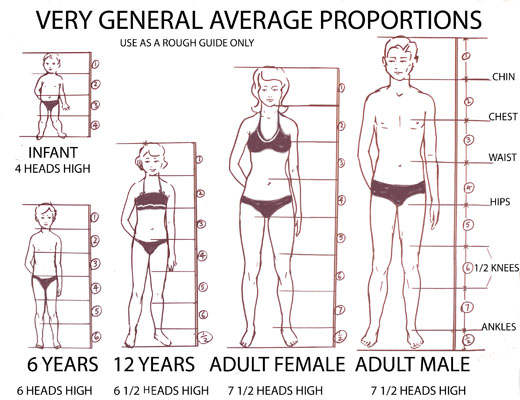 Proportions : Science figée ou interprétation libre ? Proportions