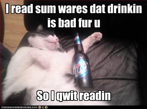 Un Sous-Marin qui va dans l'Espace !!! 6e9fb_funny-pictures-cat-is-drunk