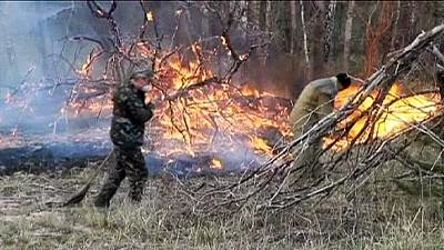 Russie: Alerte à la radioactivité : la forêt brûle à Tchernobyl Tchernobyl