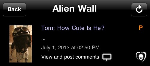 BTK App - Atualização | 01/07/2013 Tumblr_mpa2bhclyw1rv3ublo1_500