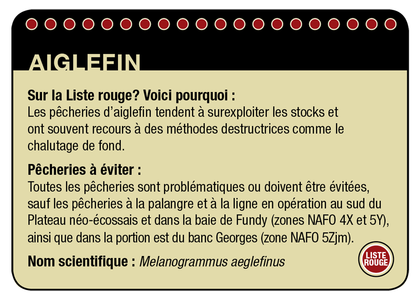 Le réchauffement des mers pourrait signer l'arrêt de mort des célèbres fish and chips anglaises, le nombre d'aiglefins, de plies ou encore de limande-soles accuseraient une nette diminution en mer du Nord Surpeche_aiglefin