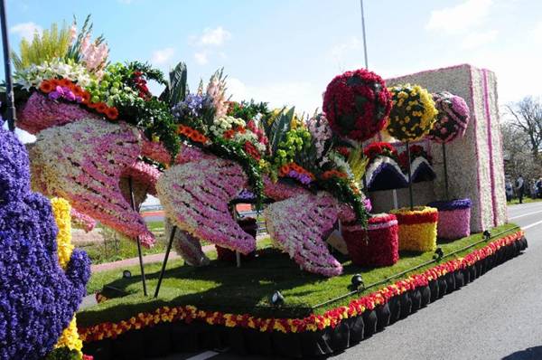 موكب براعم الزهور في هولندا من أجمل الاحتفالات في العالم... Image136-759269