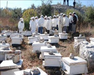 جماعة سيدي عبد الرزاق بالخميسات تحتضن لقاء تواصليا حول تربية النحل Bees-batron-