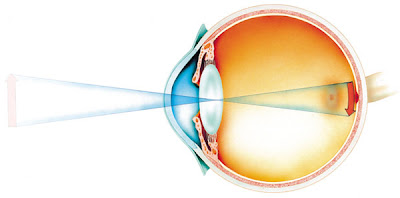 sistema - Sistema de visão confirma Paley e refuta Darwin 004_Eye