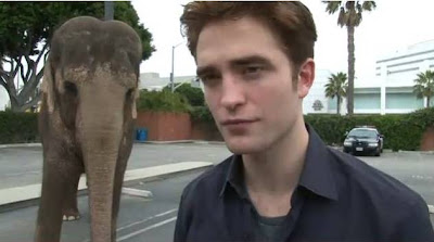 Imagenes/Videos Promocion de "Water For Elephants" - Página 3 Diapositiva7